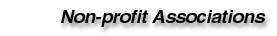 Non-Profit Organizations